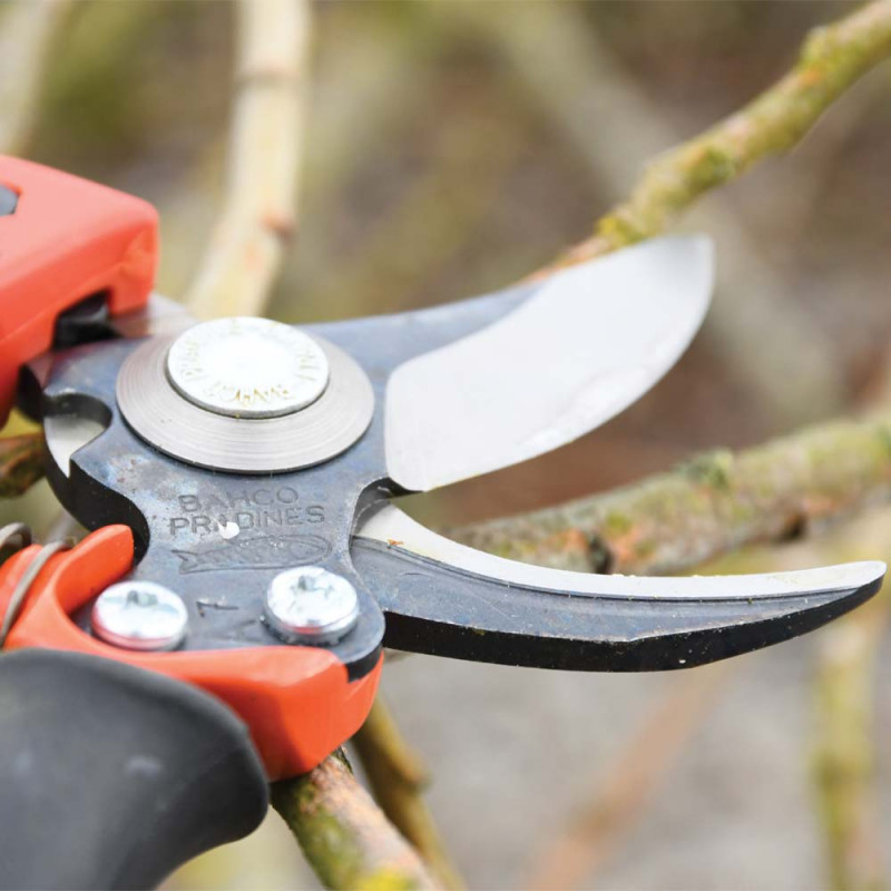 Ergonomic pruning shears pradines rotating handle-Ducatillon Österreich